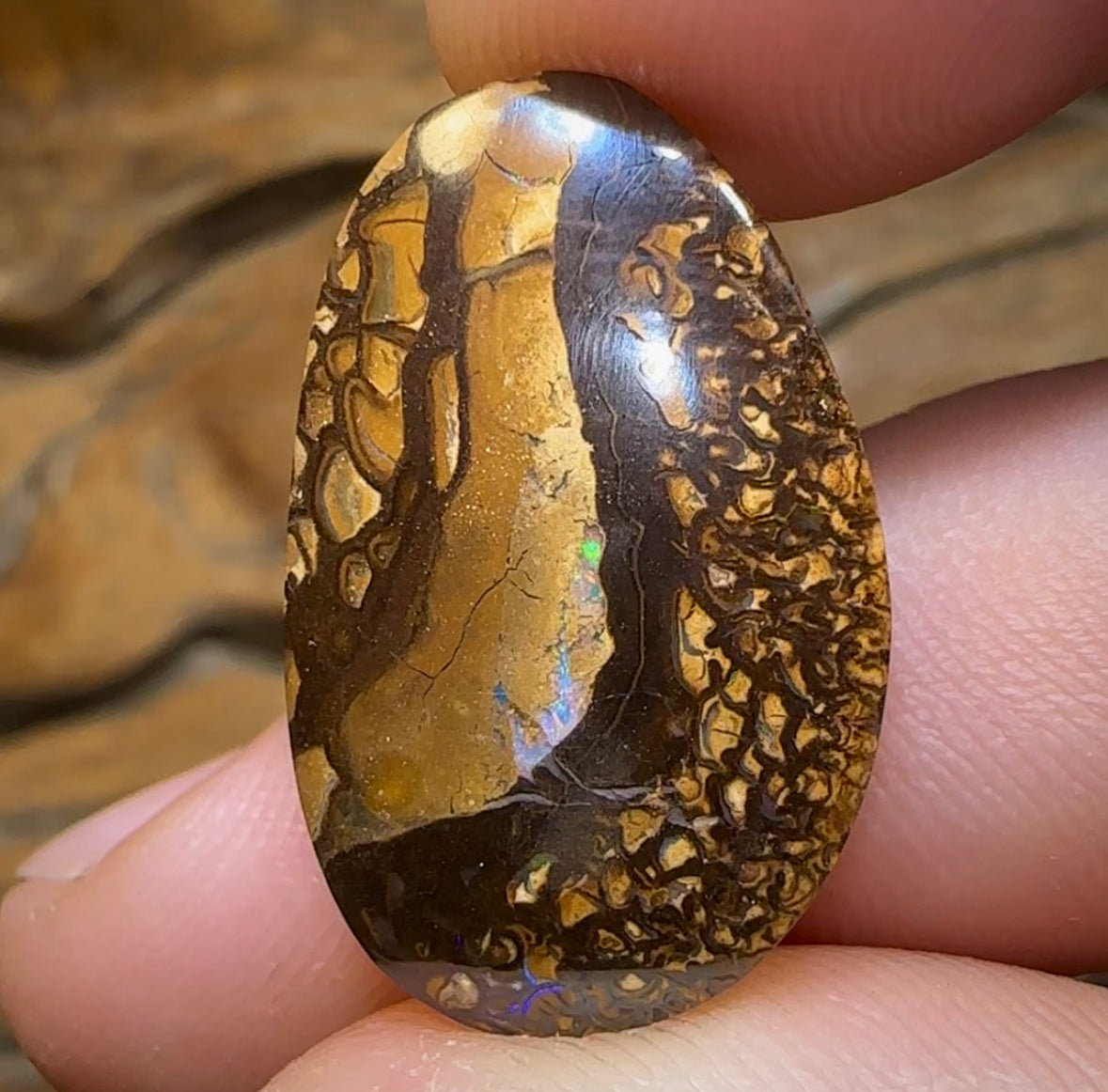 20.4cts - Australian Boulder Opal - Opal Whisperers