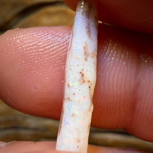 Wild card! 4.6cts - Opalised Belemnite Geological Specimen from South Australia