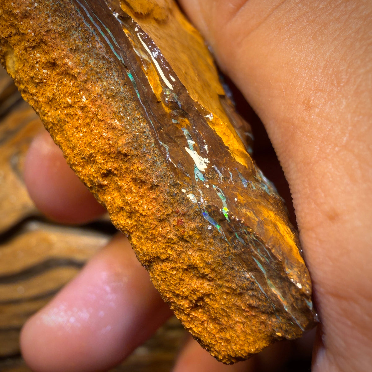 277.4cts - “Magic Awaits” Yowah Seem Uncover the Opal Rough Piece