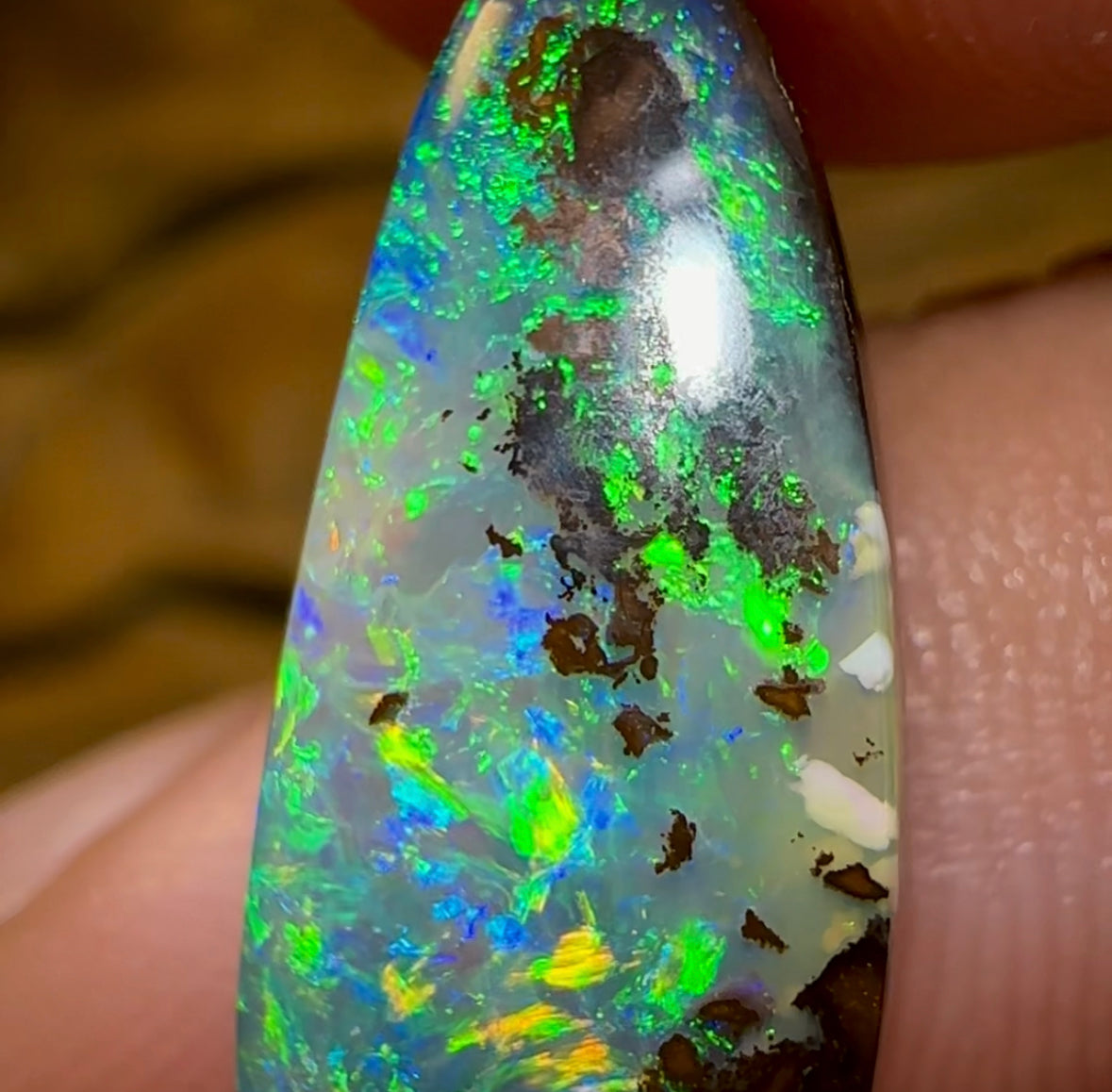 10.4cts - Yowah Opal Fossil Wood Replacement. Australian Boulder Opal - Opal Whisperers