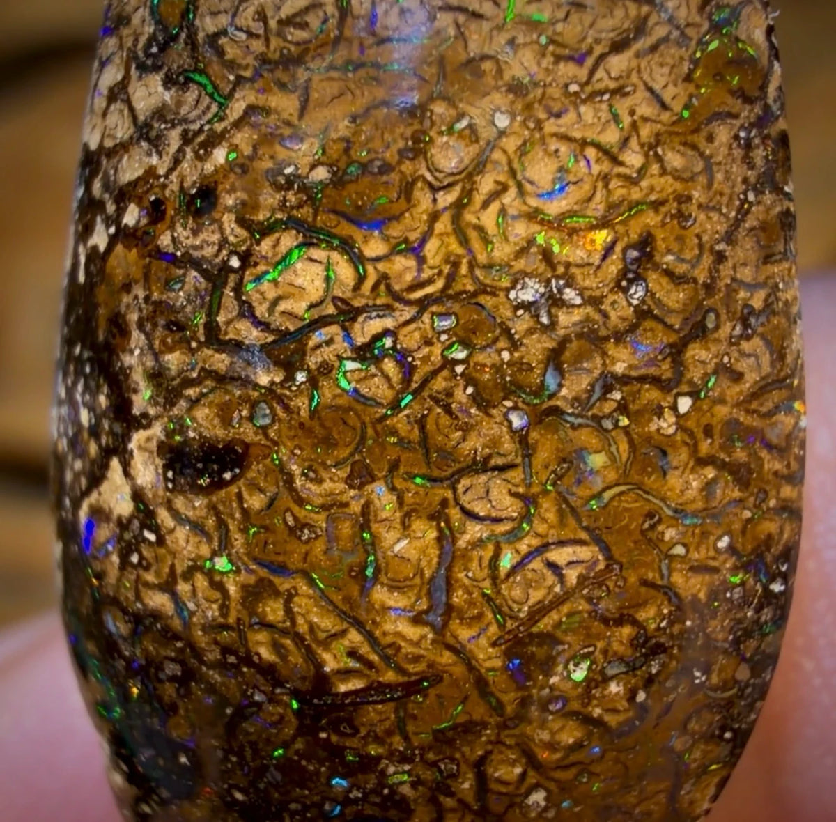 18,9 ct – Stammesopal aus Australien von Yowah