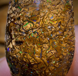 18,9 ct – Stammesopal aus Australien von Yowah