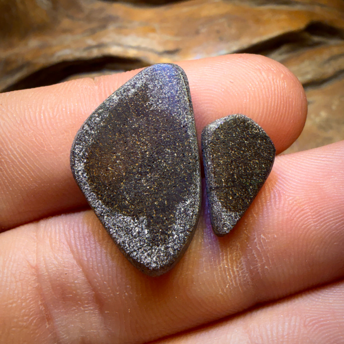 20.6cts - Top Australian Boulder Seam Opal Pair