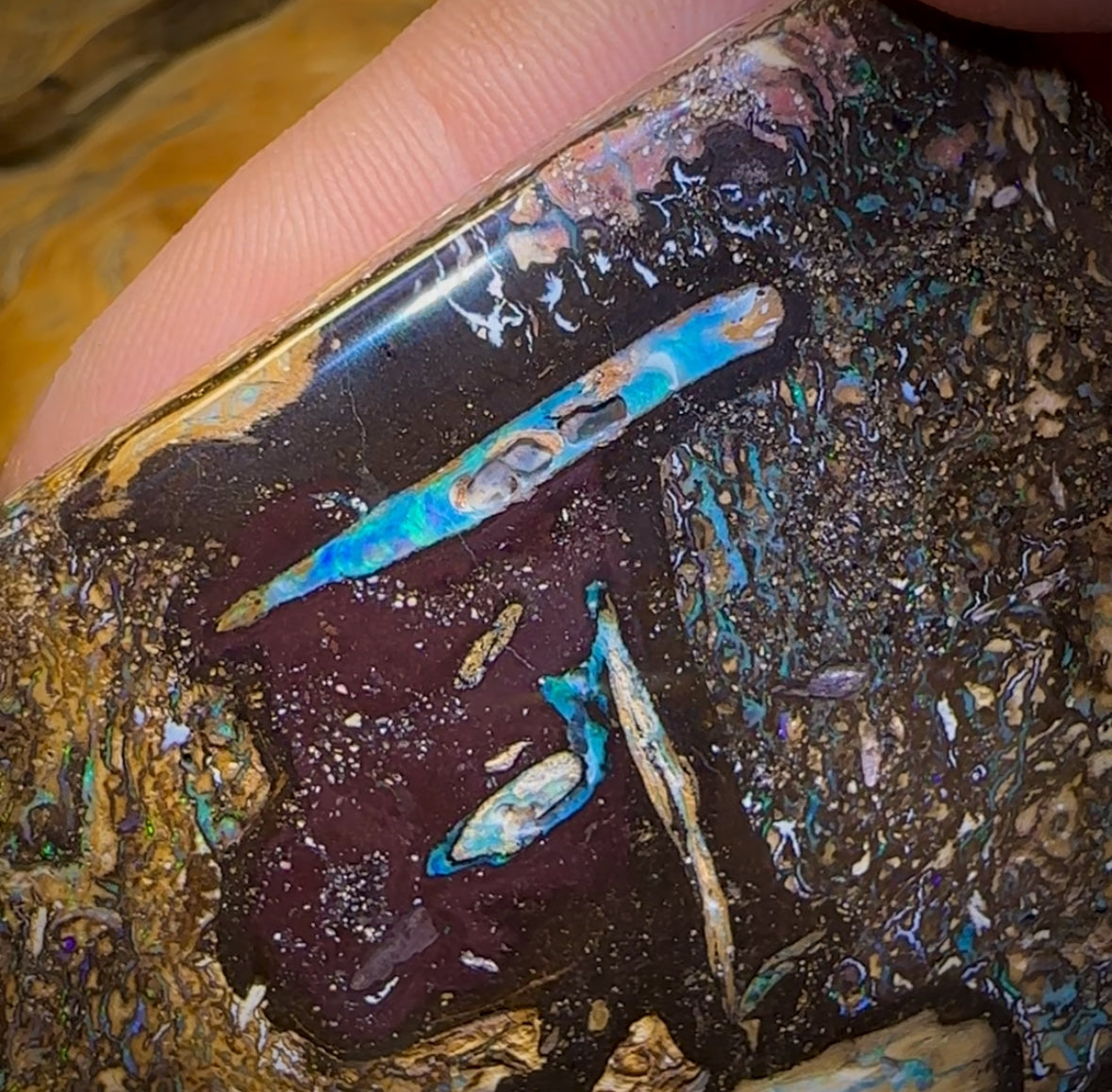 481cts - Vegetation Fossil Queensland Boulder Opal. Polished Specimen