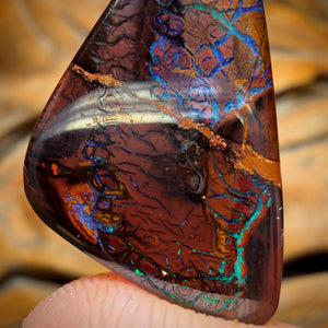 14.2cts - Tribal Koroit Nut Opal. Australian Opal