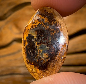 9.6cts - Yowah Nut Kernel Opal. Australian Boulder Opal