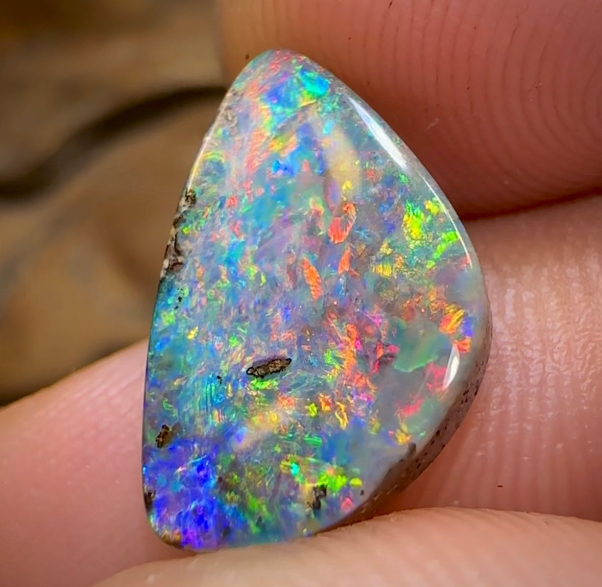 5.4cts - Top Australian Boulder Opal from Winton. Prized Full Red Multi Colour. - Opal Whisperers