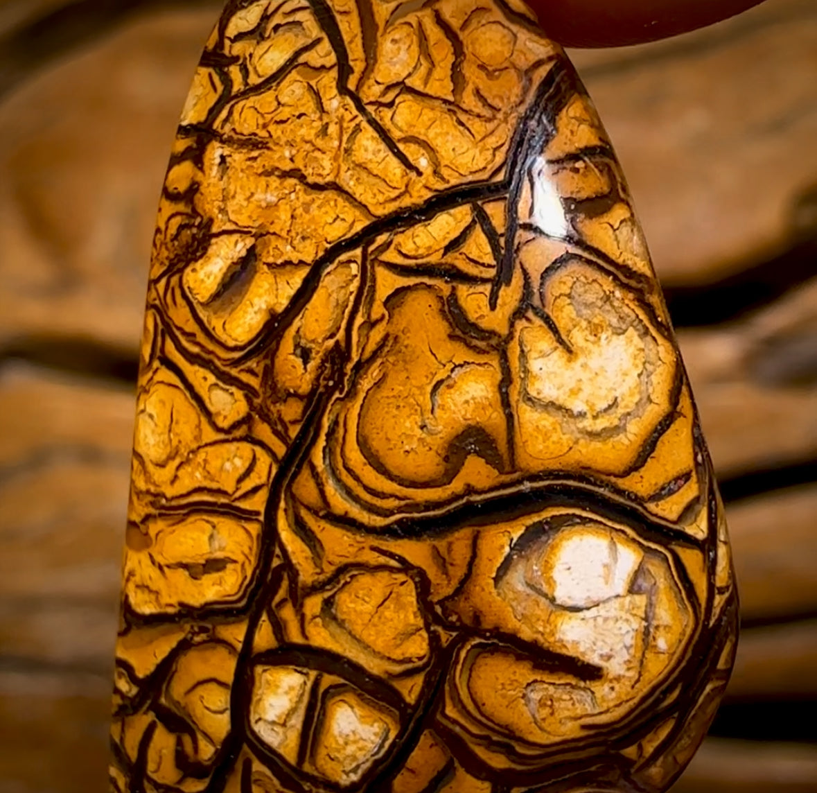 🔨 AUCTION 🔨 20.3cts - Yowah Nut Top Tribal Pattern Opal