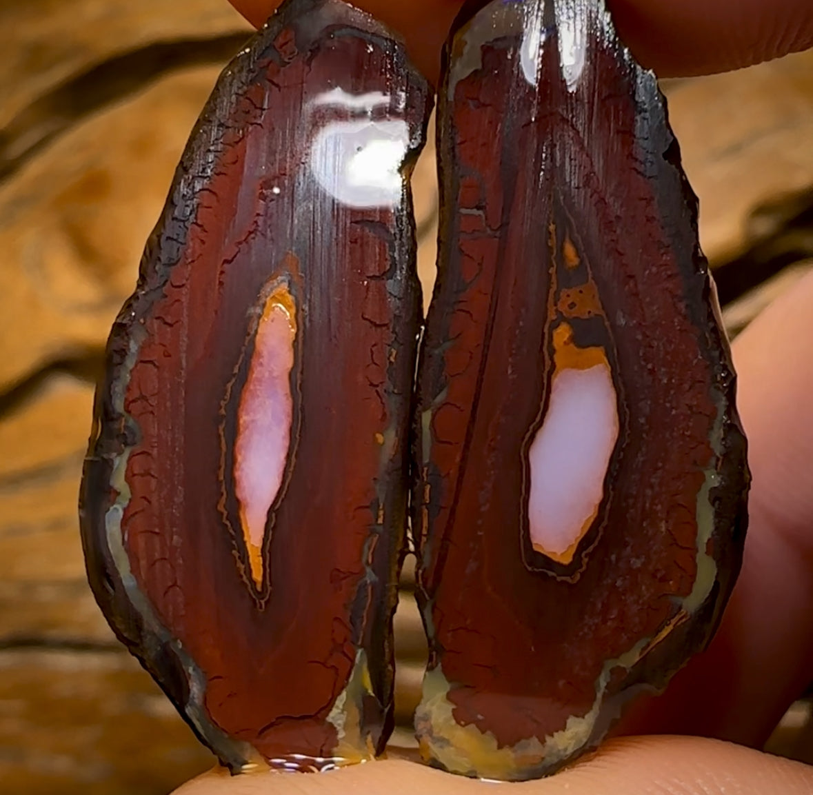 40.9cts - Yowah Nut Crystal Centre Rough Pair