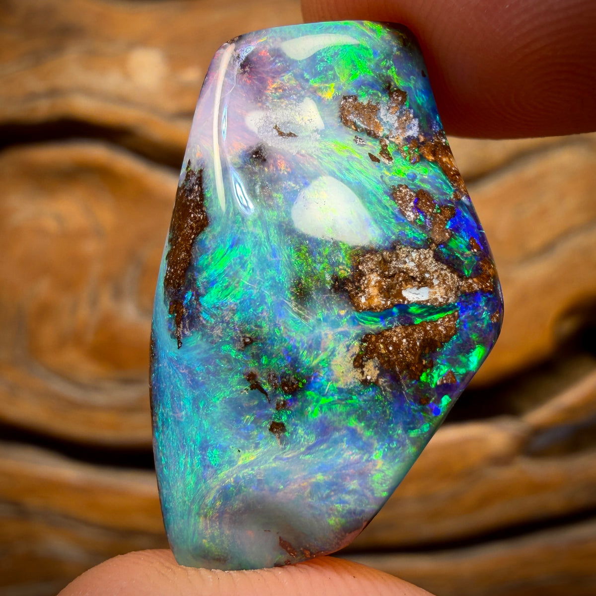 34.2cts - Gem Queensland Boulder Seam Opal