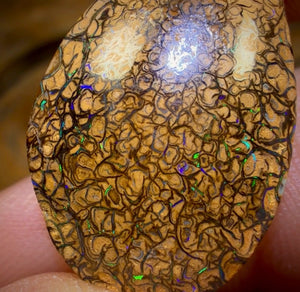 WildCard! 16.5cts - Tan Tribal Australian Boulder Opal from Yowah