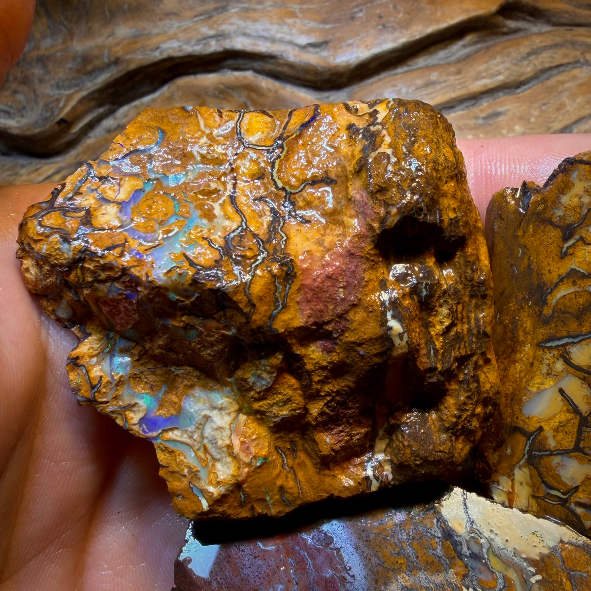 Art card bargain! 851.5cts - 3x Yowah Nut Tribal Opal Rough Parcel. Australian Boulder Opal