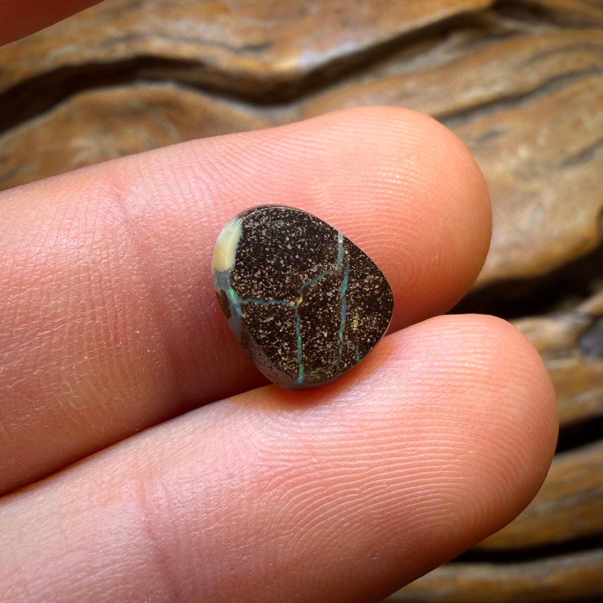 Half Price Card! 3.9cts - Queensland Boulder Seam Opal from Winton