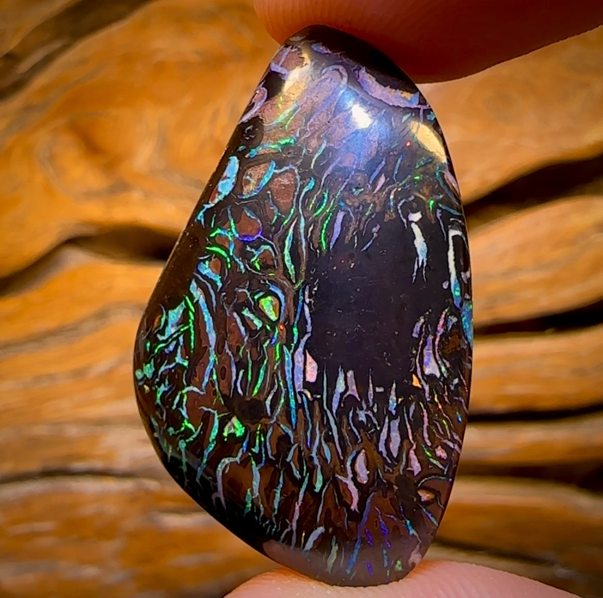 59.2cts - Highly Artistic Tribal Koroit Nut Opal. Australian Opal