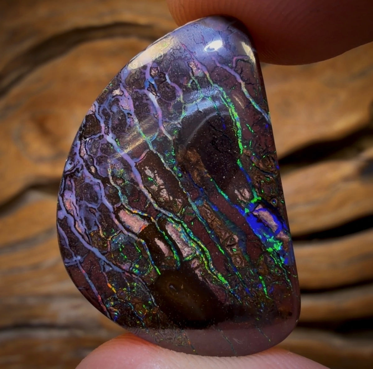 48.5cts - Tribal Australian Boulder Opal from Koroit