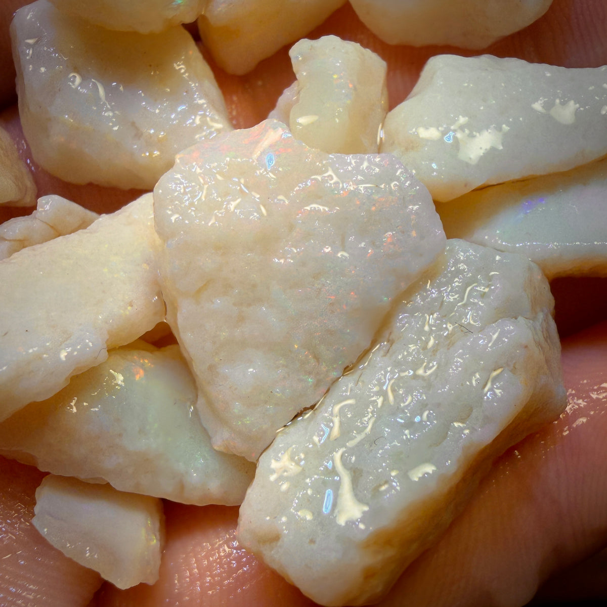 🔨 AUCTION 🔨 131.4cts - 20x South Australian White Opal Rough Parcel