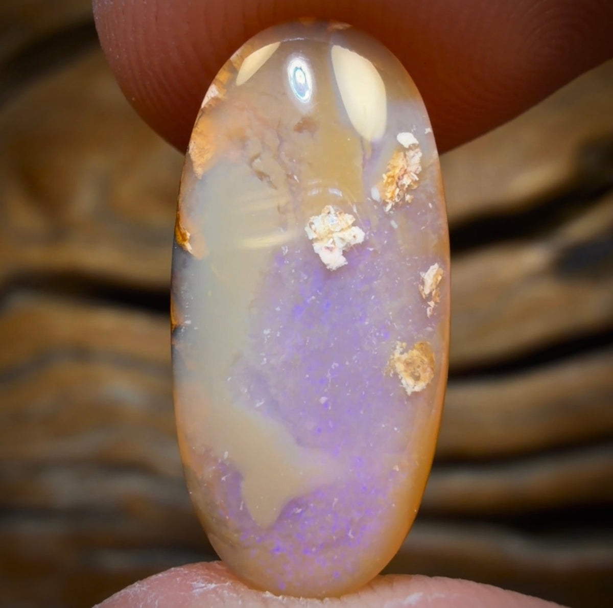 4.75cts - Solid Australian Boulder Pipe Opal