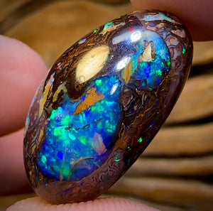 “Set in Stone” - Private Collector Investment - 31.2cts - “Celebrity Stone” TOP GEM Tribal Yowah Nut Opal MULTISIDED! Featured on “Outback Opal Hunters”!