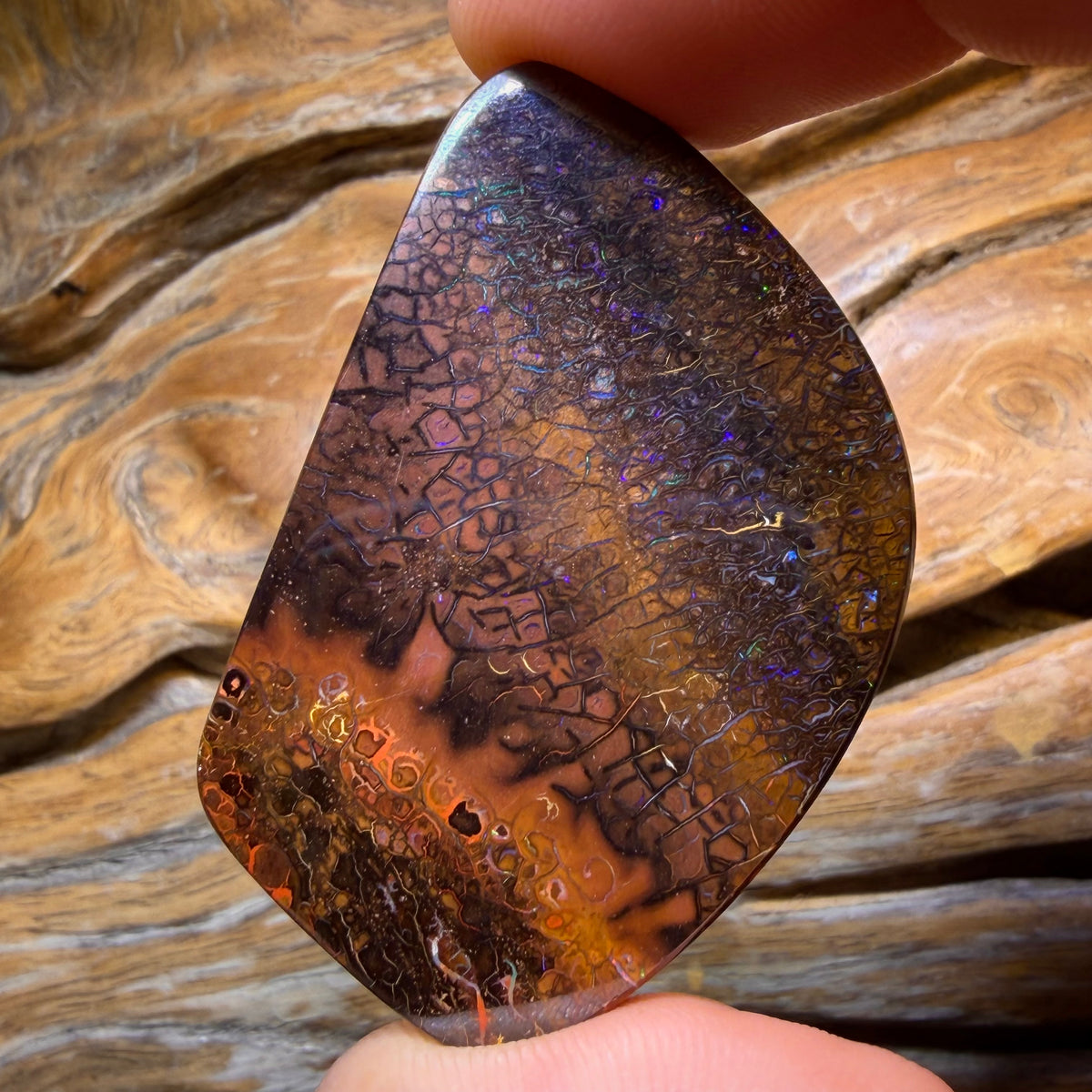 HDW 133.6cts - Large Tribal Queensland Boulder Opal. Australian Opal