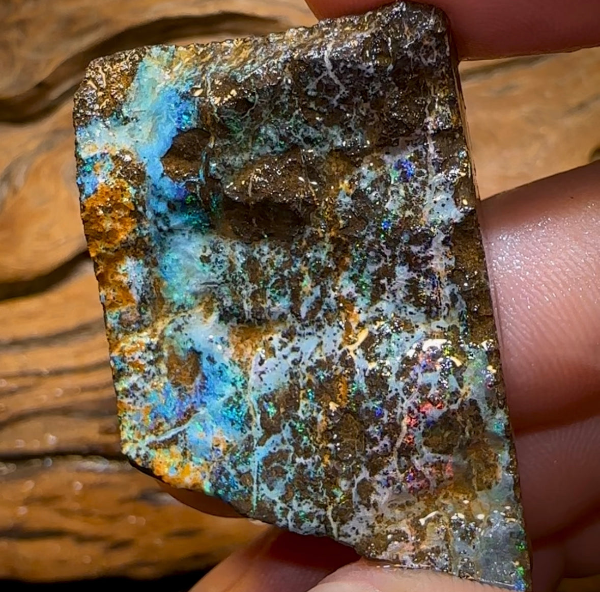 105.6cts - Australian Boulder Opal Rough Preform. Natural Split - Opal Whisperers
