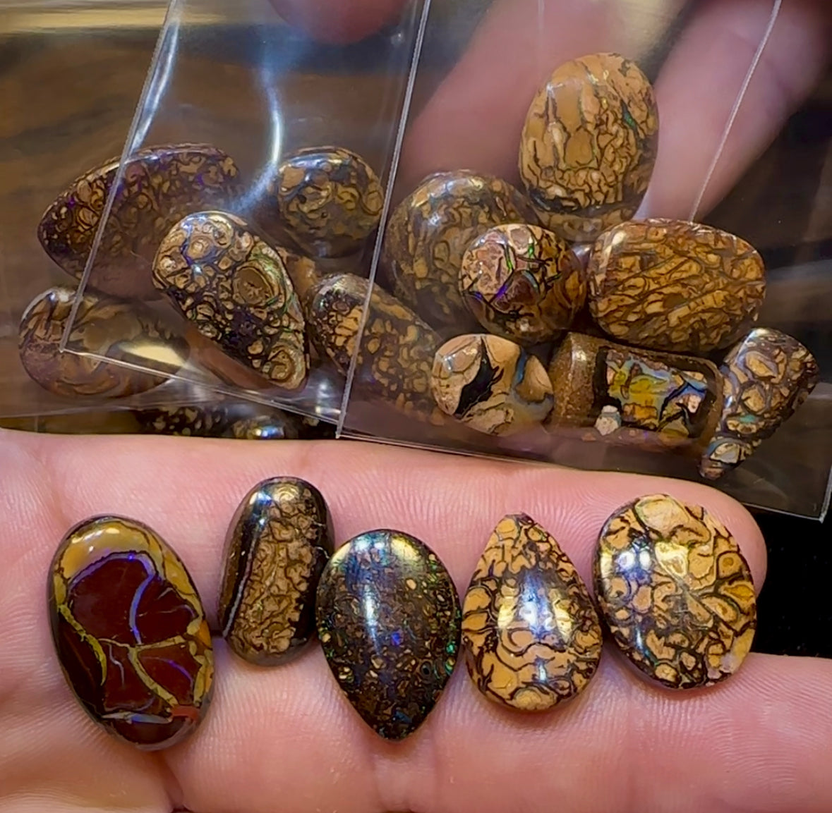 Yowah Tribal Opal Parcel. BULK LISTING - 5 FOR $250. PLUS 6TH FREE !!! - Opal Whisperers