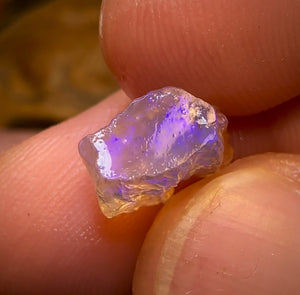 🔨 AUCTION 🔨 58.9cts - 12x Opalised Fossil Geological Specimens from Lightning Ridge