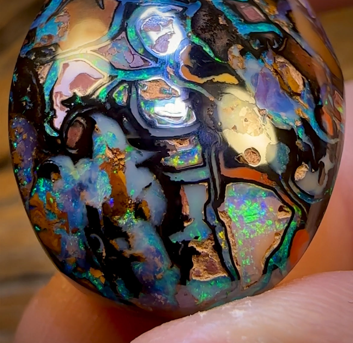 95.8cts - Top Tribal Koroit Nut Opal. Australian Opal