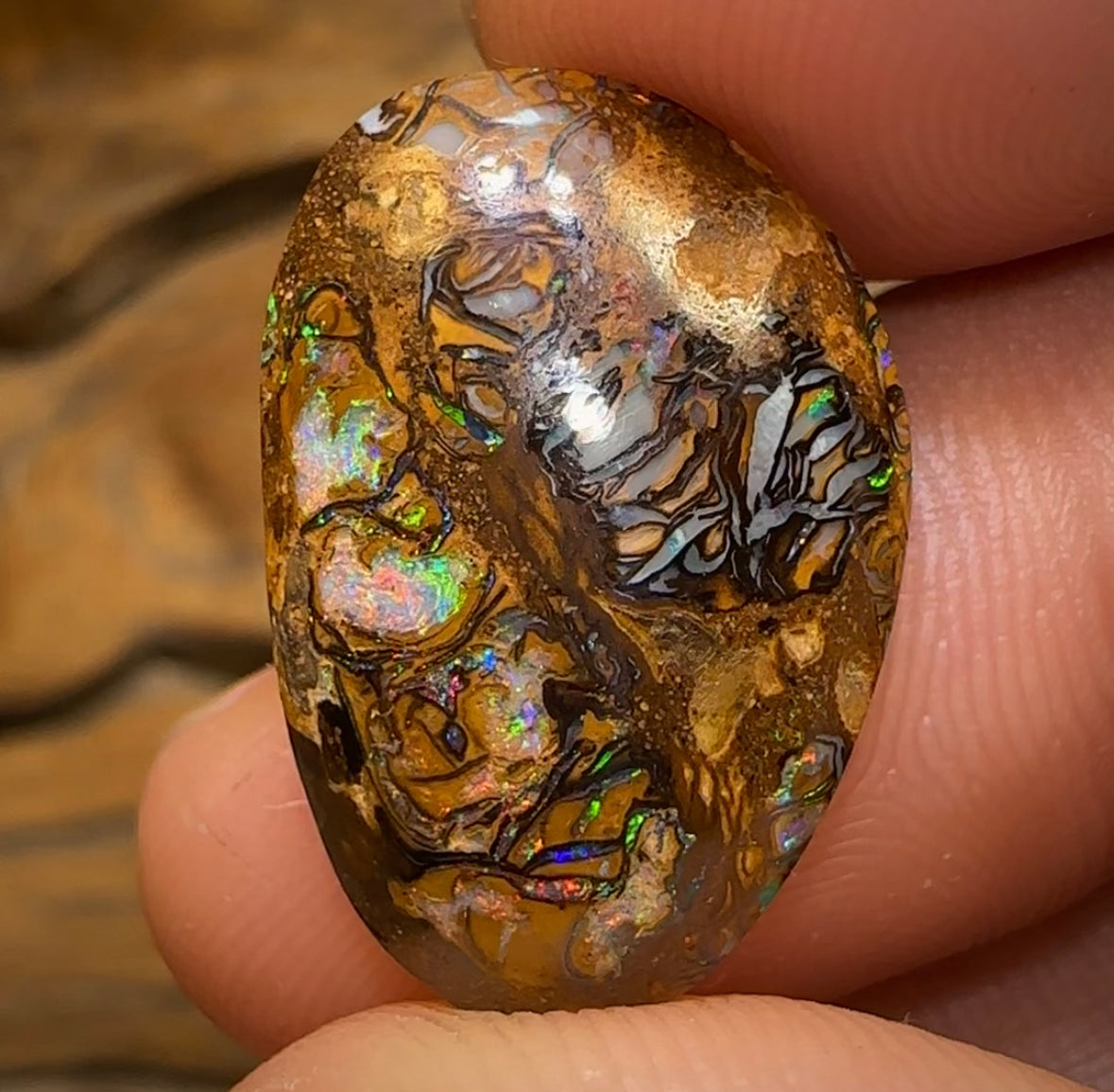 13.4cts - Yowah Nut Tribal Opal - Opal Whisperers