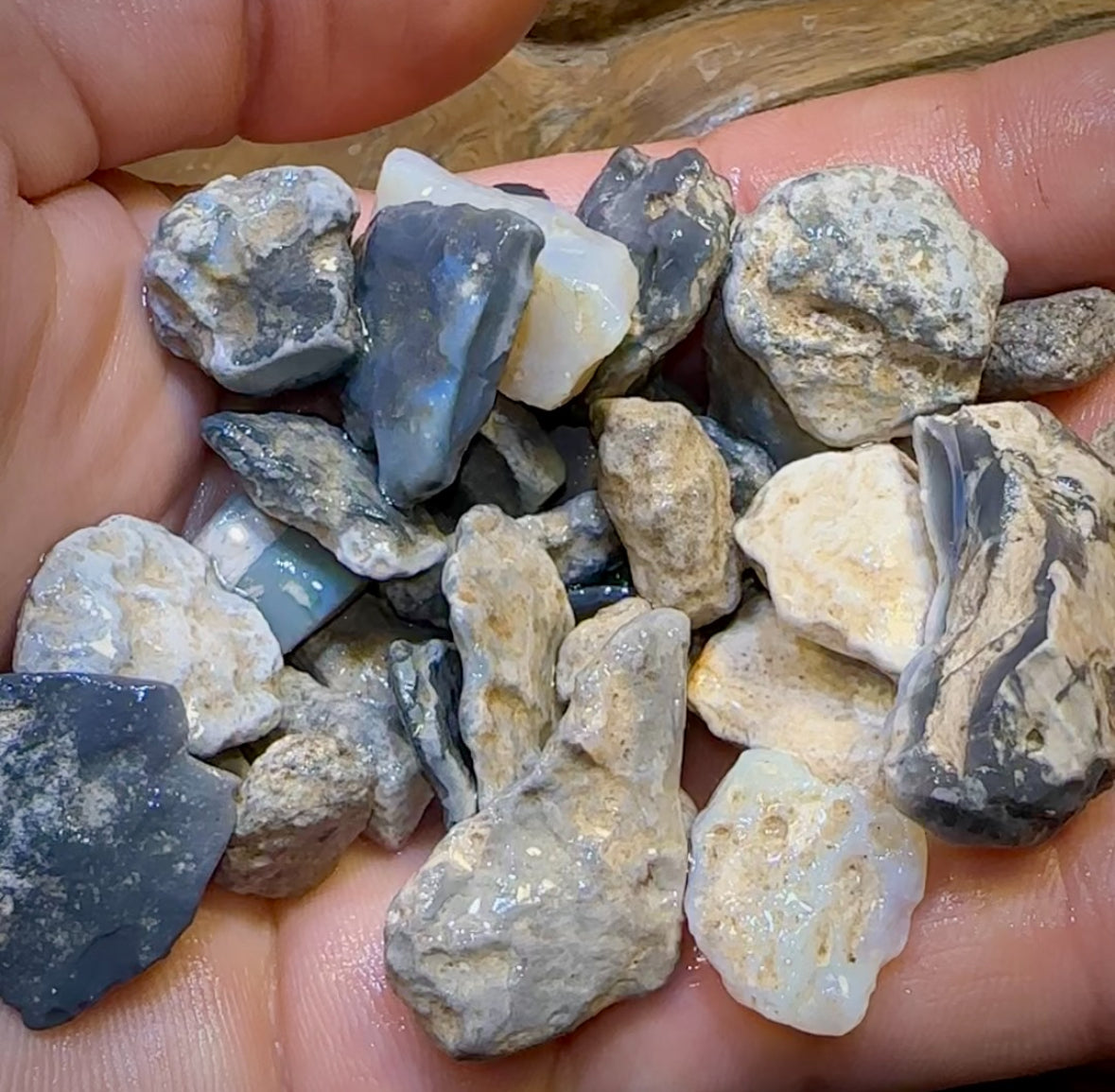 278.7cts - 36x Lightning Ridge Opal Rough Parcel. Potch and Colour