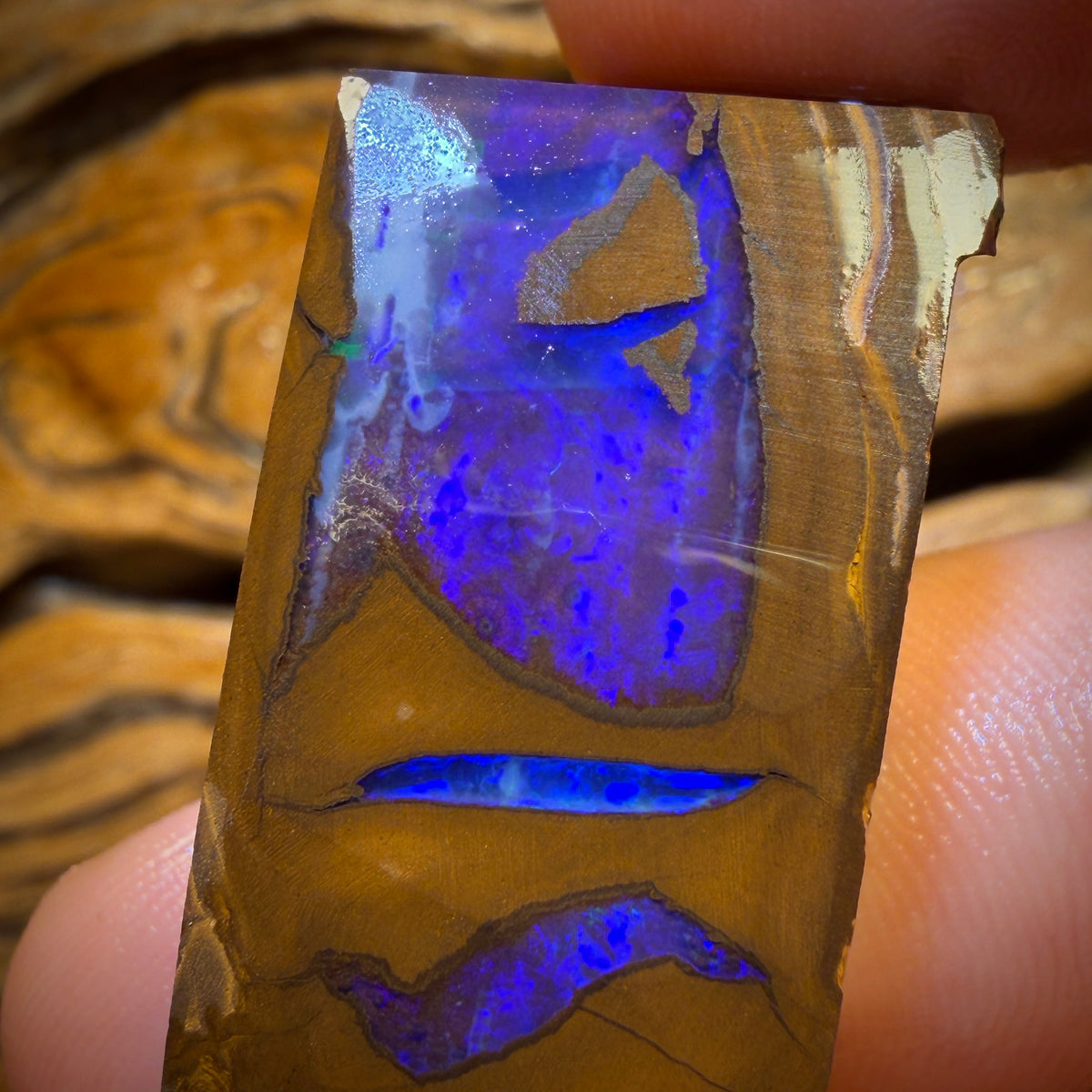 124.7cts - Queensland Boulder Opal Rough Preform from Duck Creek