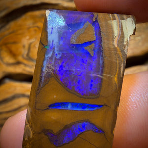 124.7cts - Queensland Boulder Opal Rough Preform from Duck Creek