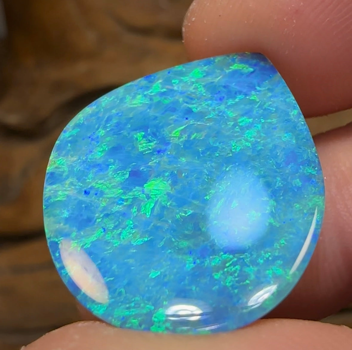 12.8cts - Largest Australian Boulder Opal Doublet Heritage Collection - Opal Whisperers