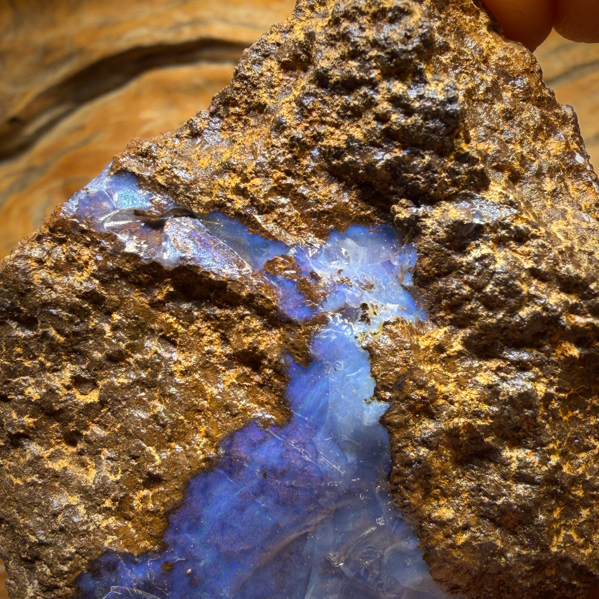 919cts - Queensland Boulder Seam Opal Rough Piece