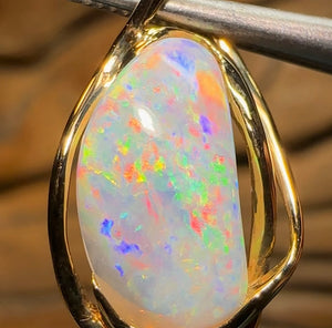 18k Gold - Solid Fossil Pippy Shell Opal Pendant - Opal Whisperers