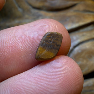 Wildcard! 1.4cts - Australian Boulder Opal Doublet