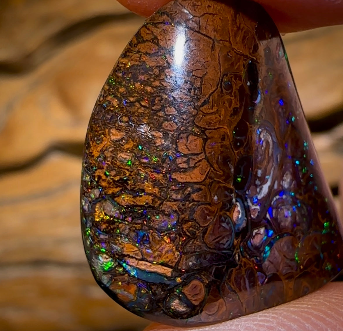 31.1cts - “Electric Yurt” Queensland Boulder Opal Specimen. Double Sided