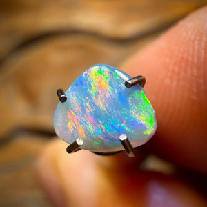 0,2 ct - Opale fossile de coquillage polie d'Australie du Sud