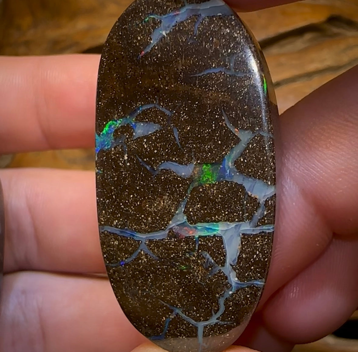 173.4cts - Australian Boulder Opal Set. Winton Seam Opal. Double Sided - Opal Whisperers