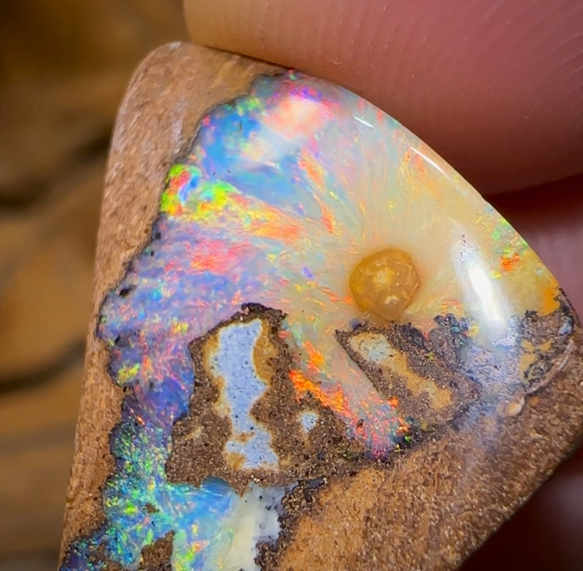 9.1cts - “Rainbow Parrot”Picture Queensland Boulder Seam Australian Opal. - Opal Whisperers