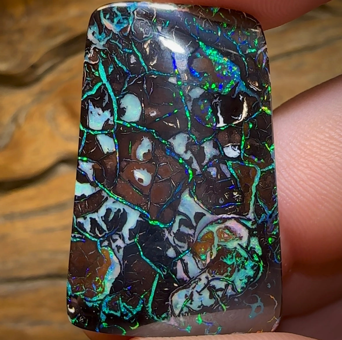 38.1cts - Top Tribal Australian Boulder Opal. - Opal Whisperers