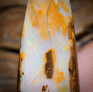 14.1cts - Yowah Nut Opal. Australian Opal