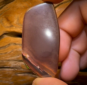 151.3cts - Top Tight Tribal Yowah Nut Opal