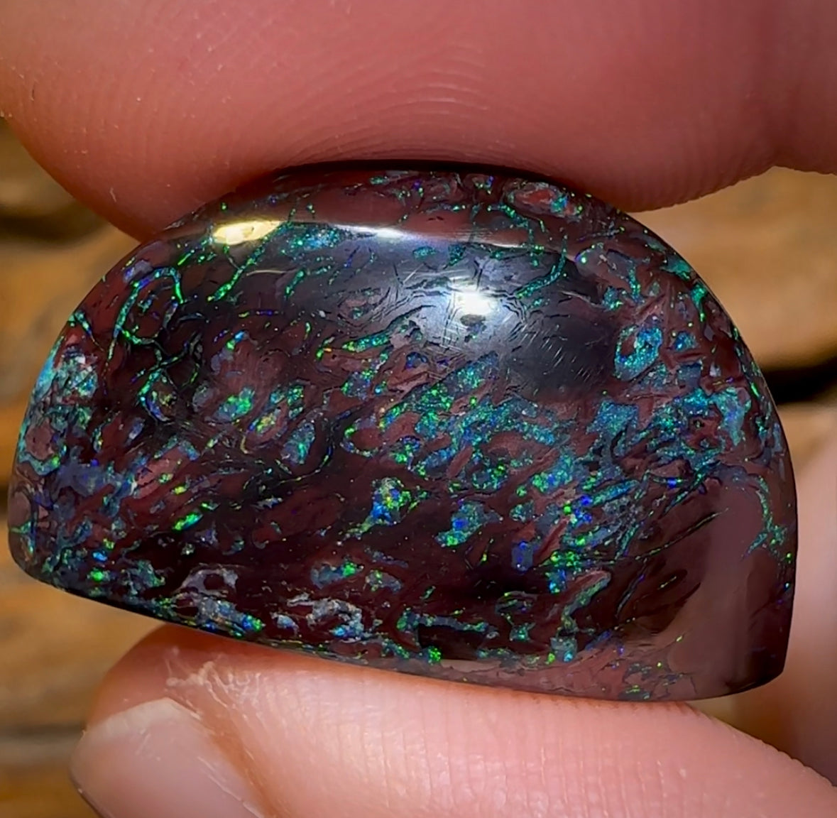 41.1cts - Tribal Koroit Nut Opal Specimen. Double Sided Rare Half Polished Nut - Opal Whisperers