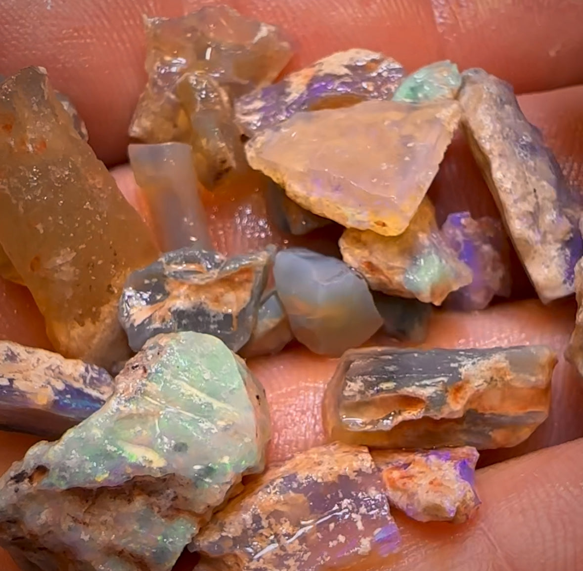 80.1cts - 24x Opalised Fossil Geological Specimens from Lightning Ridge