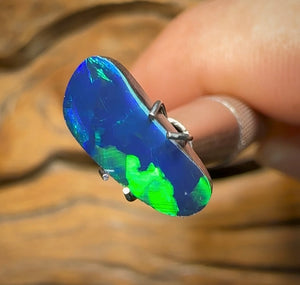 1.6cts - Queensland Boulder Opal Doublet - Opal Whisperers