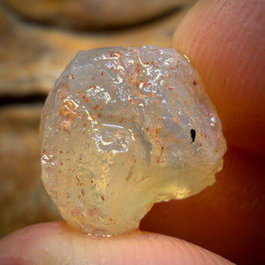 Bargain Card! 11.2cts - Opalised Shell Geological Specimen from South Australia