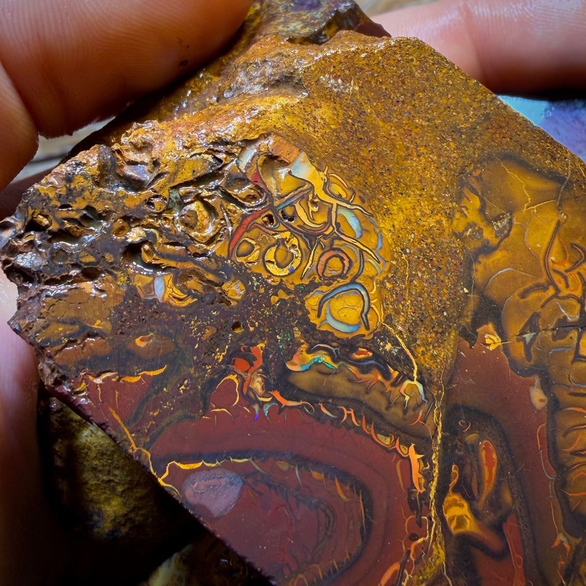 Wild Card! 1789cts - 6x Yowah Nut Tribal Opal Rough Parcel. Australian Boulder Opal