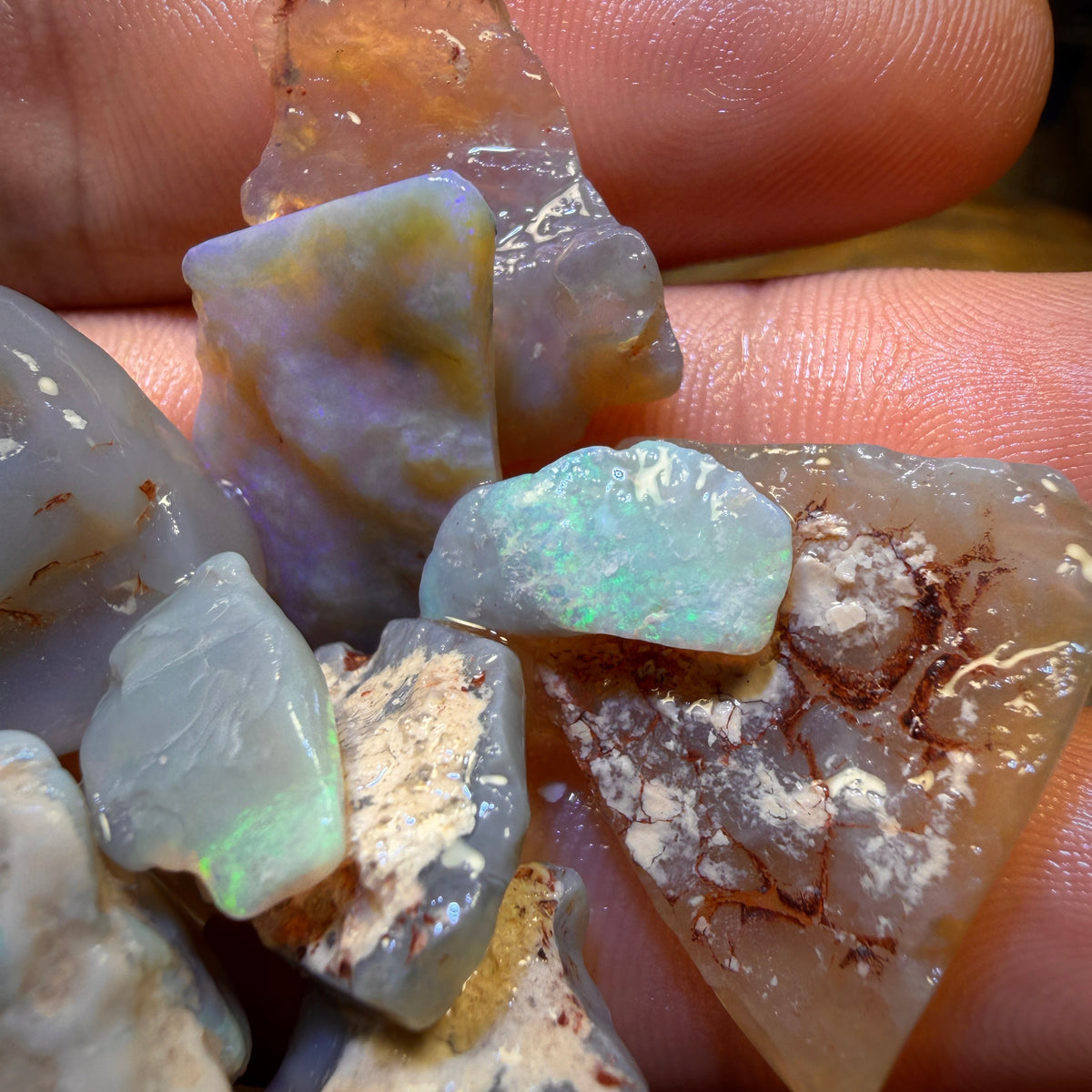 126.2cts - 15x Lightning Ridge Opal Rough Parcel. Potch n Colour