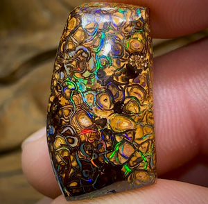 27.6cts - Yowah Nut Opal. Tribal Pattern