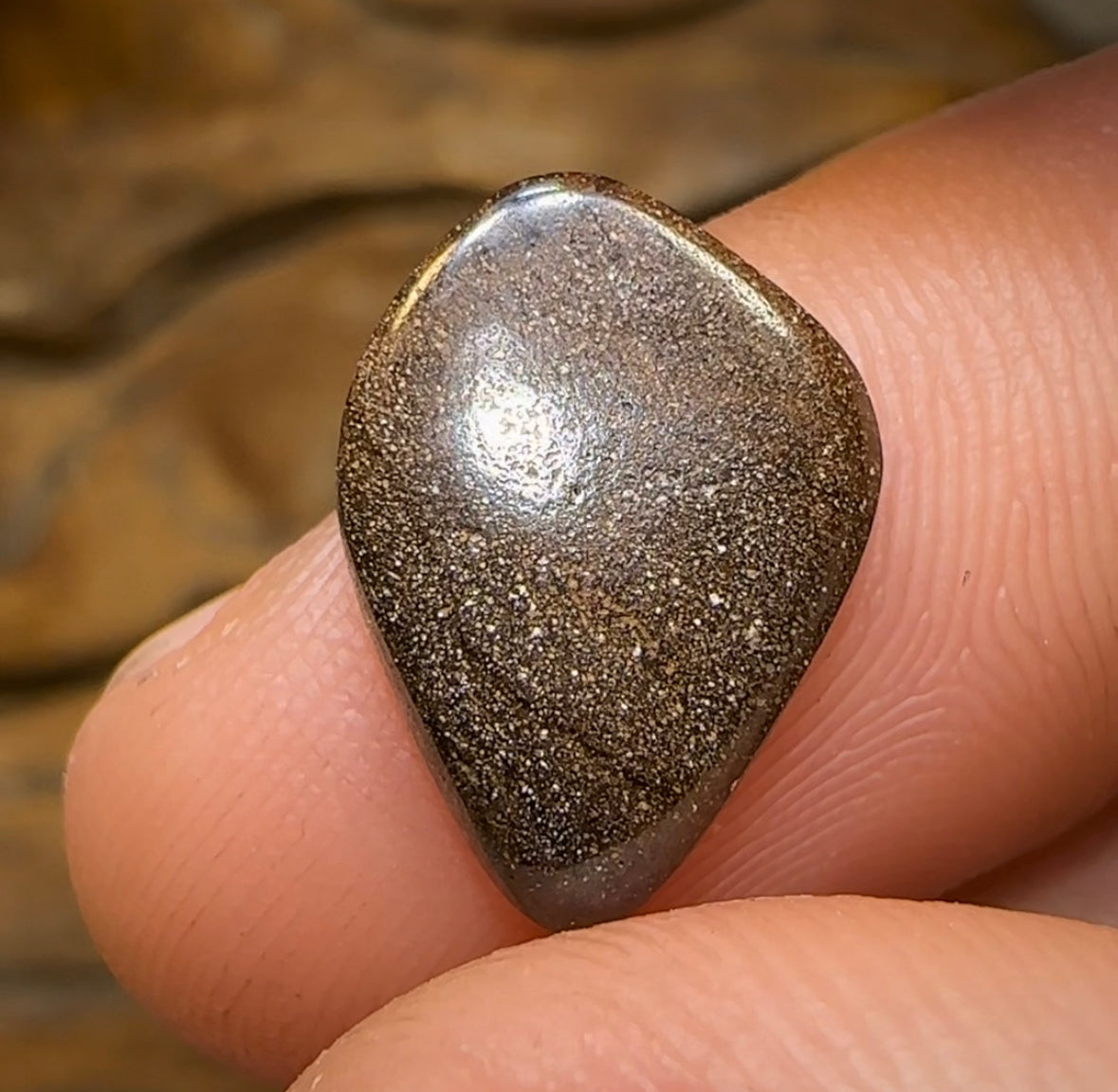 4.4cts - GEM Queensland Boulder Australian Opal - Opal Whisperers